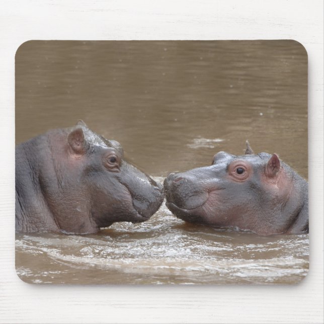 Hippo Musmatta (Framsidan)