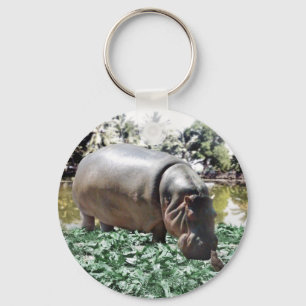 Hippo och fågeln nyckelring