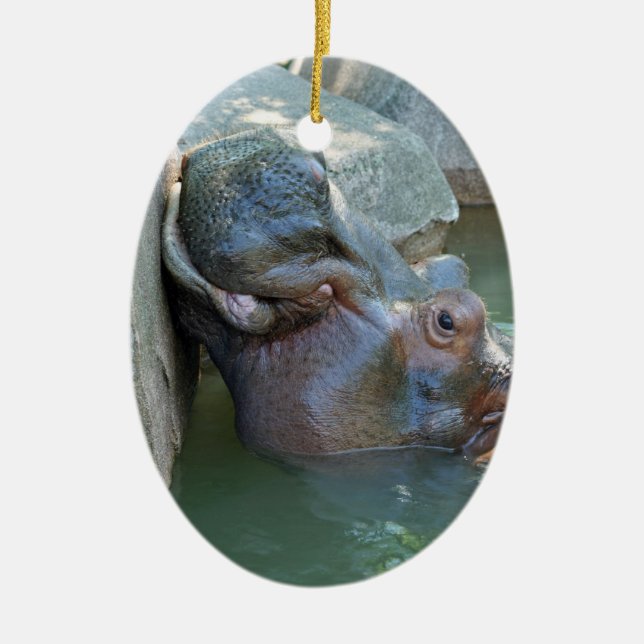 Hippo Ornament (Framsidan)