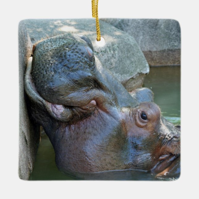 Hippo Ornament (Framsida)