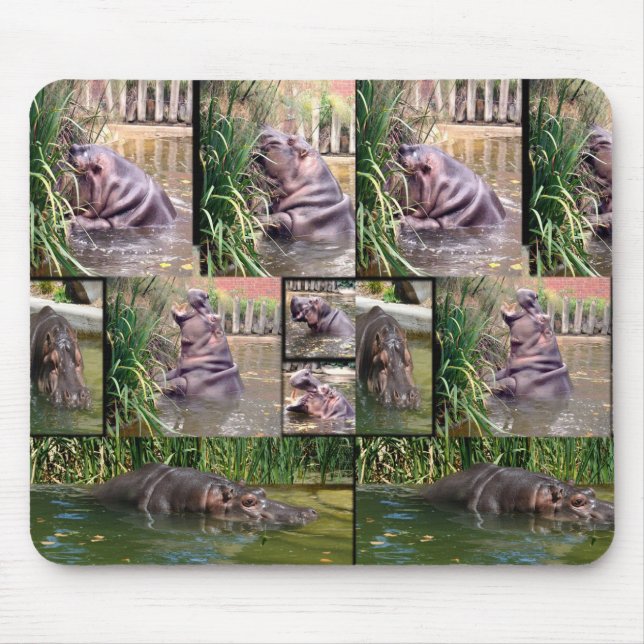 Hippo Photo Collage, Mousepad Musmatta (Framsidan)