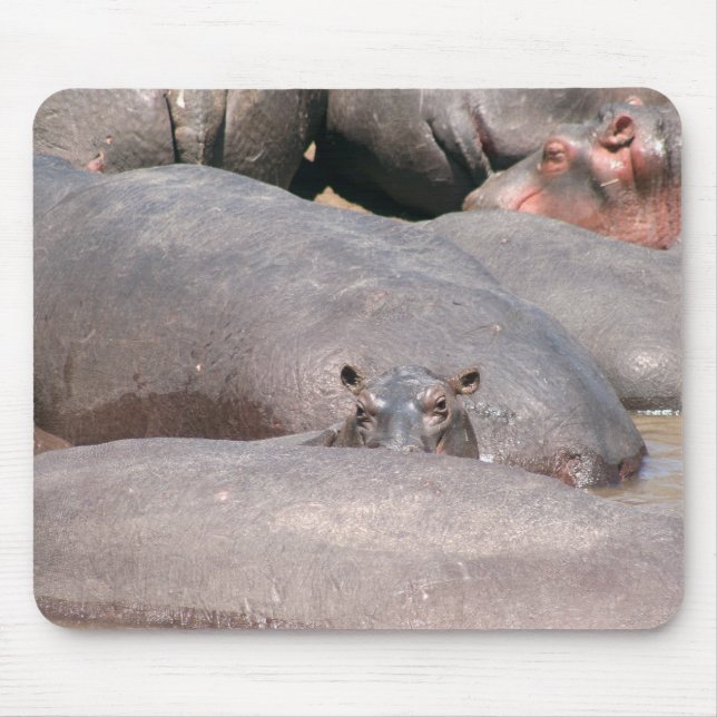 Hippo Tittar på dig Musmatta (Framsidan)