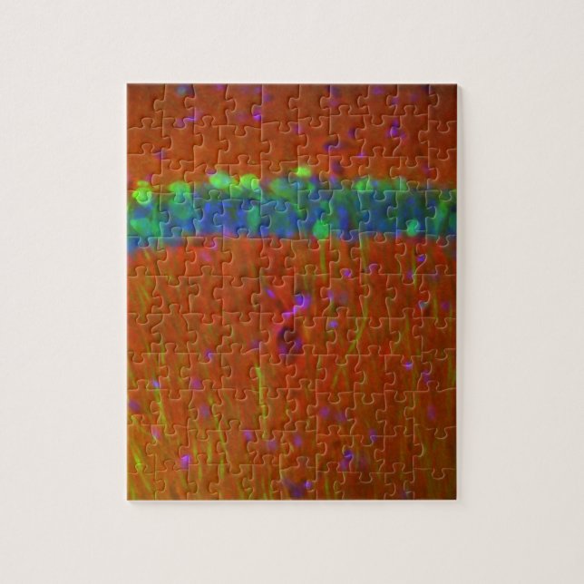 Hippocampal neurons 4 pussel (Vertikal)