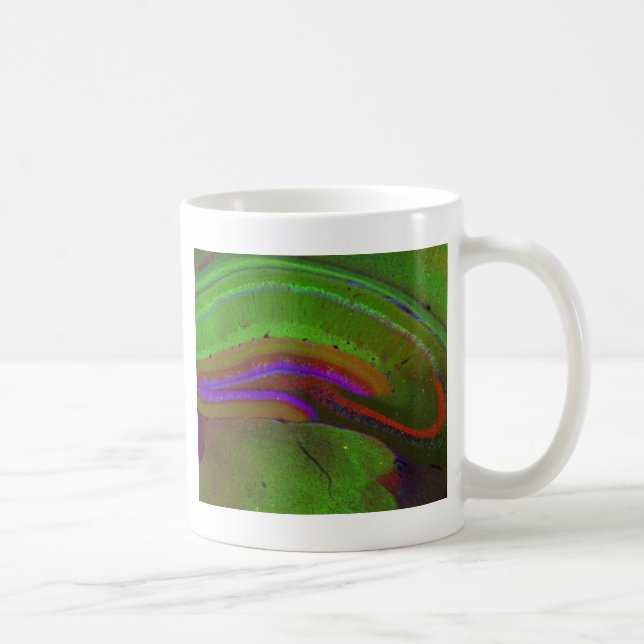 Hippocampal neurons kaffemugg (Höger)