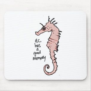 Hippocampus Musmatta