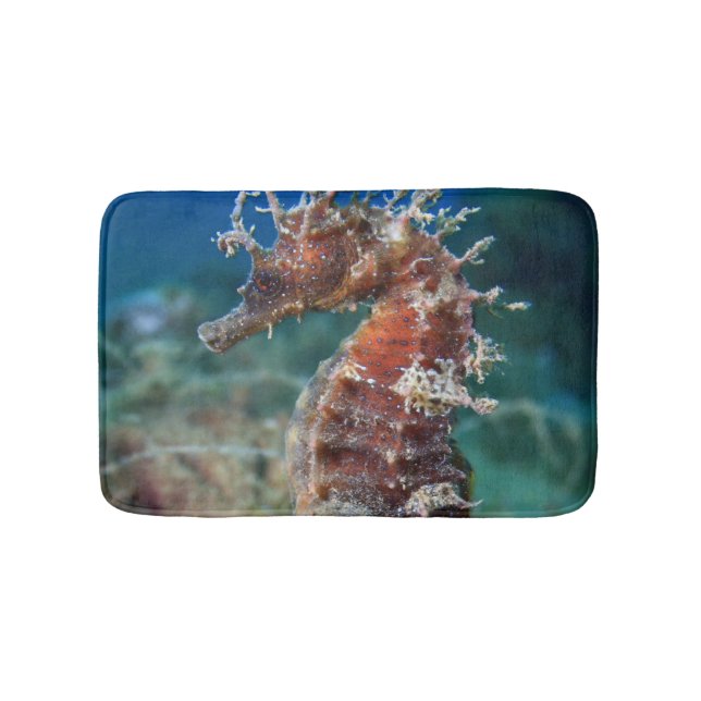 Hippocampus Ramulosus för havshäst | Badrumsmatta (Framsidan)