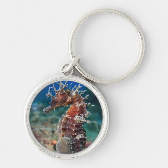 Hippocampus Ramulosus för havshäst | Rund Silverfärgad Nyckelring (Framsidan)
