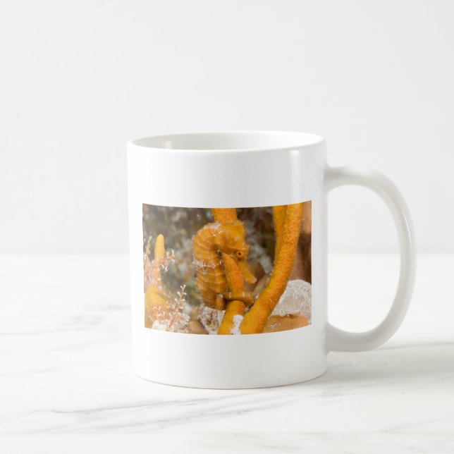 Hippocampusreidi - Longsnout Seahorse Kaffemugg (Höger)