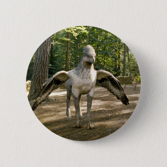 Hippogriff Knapp (Framsida)