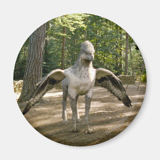 Hippogriff Magnet (Framsidan)