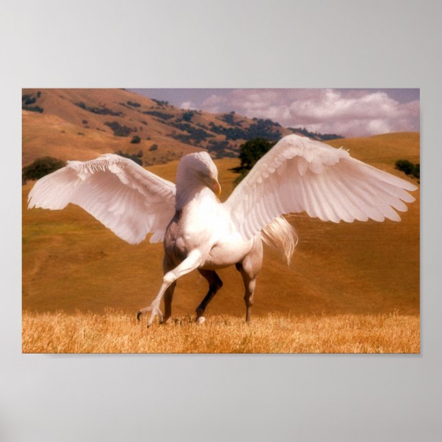 Hippogriff Poster (Framsidan)