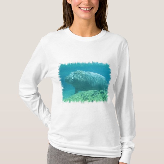 Hippopatumus livsmiljöHoodie Tröja (Framsida)