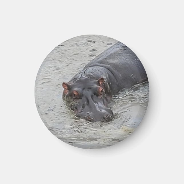 Hippoposterus Magnet (Framsidan)