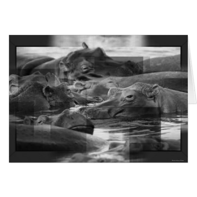 Hippopotamicakort Hälsningskort (Framsidan Horizontal)