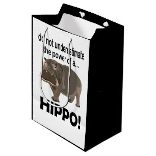 Hippopotamus Animal Funny Hippo