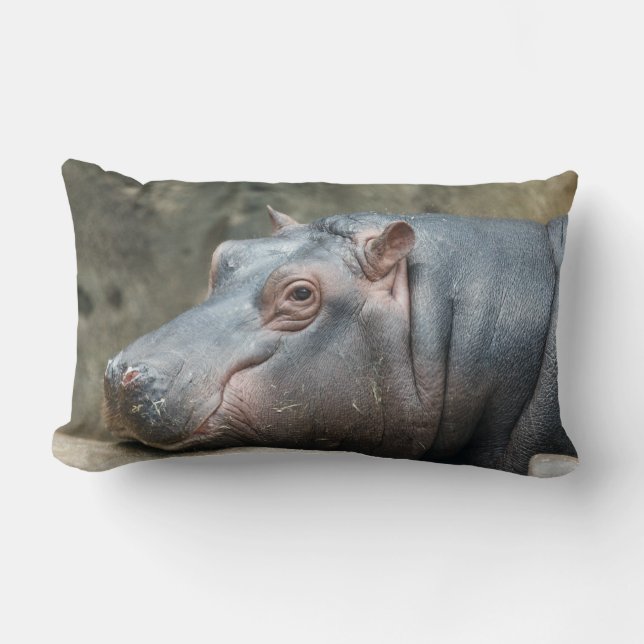 Hippopotamus dekorativ kudde (Framsida)