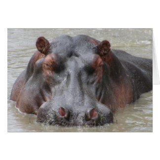 Hippopotamus Hälsningskort