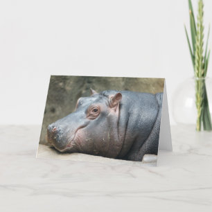 Hippopotamus-hälsningskort Kort