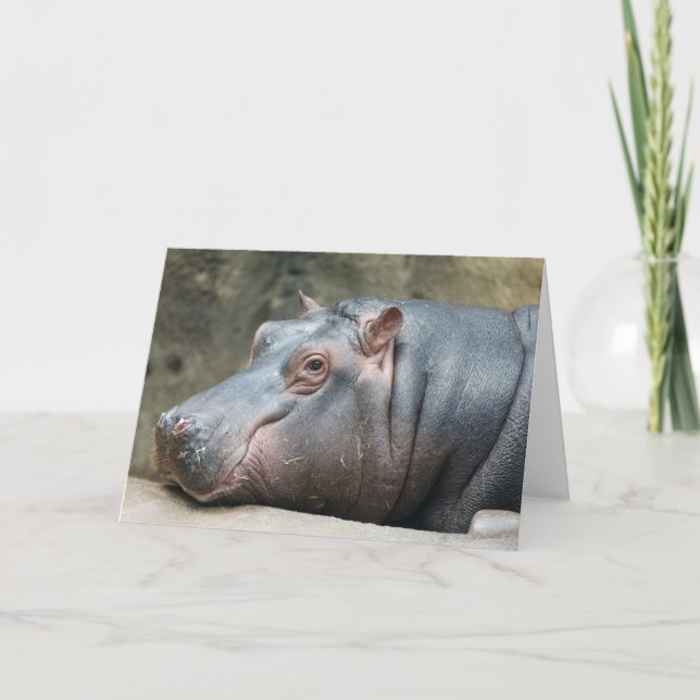 Hippopotamus-hälsningskort Kort (Framsida)
