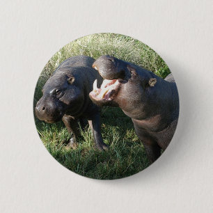 Hippopotamus Knapp