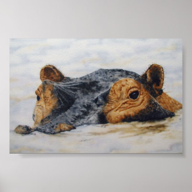 hippopotamus poster (Framsidan)