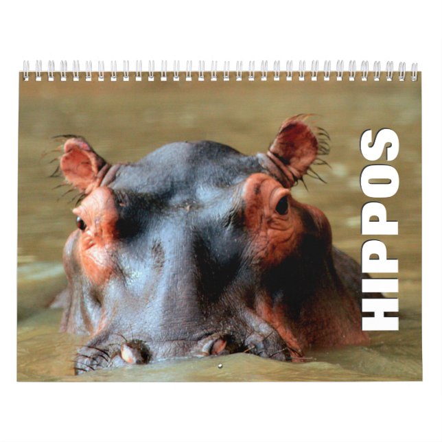 Hippopotamus-väggkalender Kalender (Omslag)