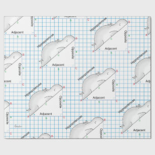 HIPPOPOTENUSE av Sandra Boynton Presentpapper