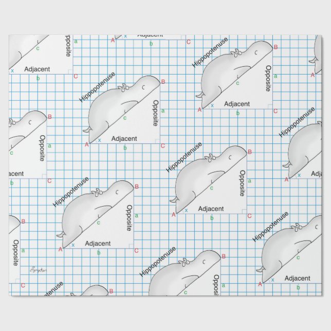 HIPPOPOTENUSE av Sandra Boynton Presentpapper (Seam)