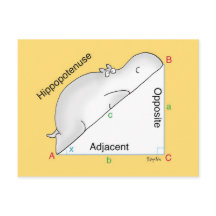HIPPOPOTENUSE-vykort av Sandra Boynton