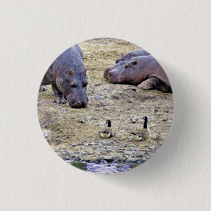 HIPPOS KNAPP