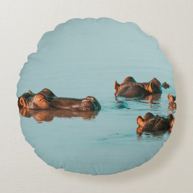 HIPPOS-KYLNING AV I DAM RUND KUDDE (Framsidan)