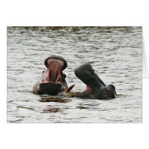 Hippos lurar runt.. hälsningskort