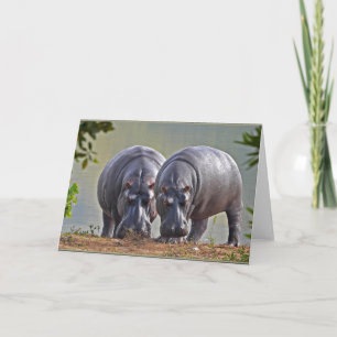 Hippos par kort
