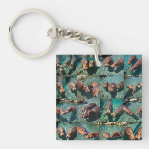 Hippos vid Play: A Pond Paradise
