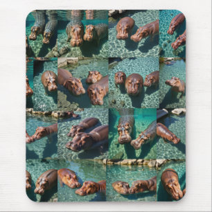 Hippos vid Play: A Pond Paradise Musmatta