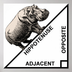 Hippotenusa Hypotenusa Rolig Matematik Geometri Af Poster