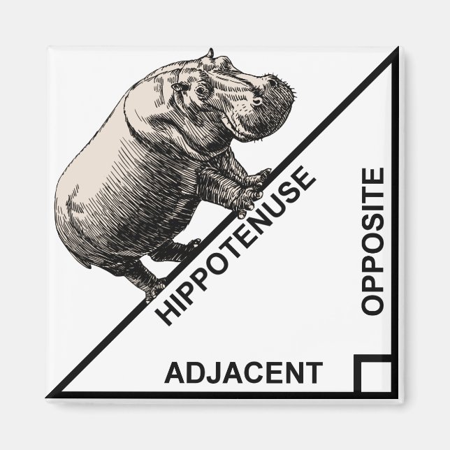 Hippotenuse Hypotenuse Funny Math Geometry Magnet (Framsidan)