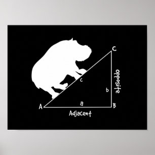 Hippotenuse Poster