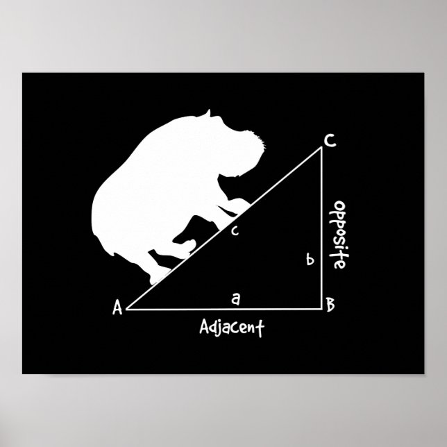 Hippotenuse Poster (Framsidan)