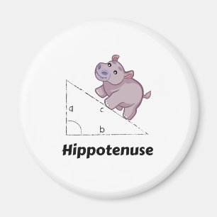 Hippotenuse rolig Math Magnet