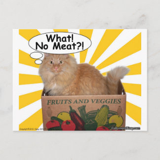 Hippy Kattunge Vad då? Ingen Kött? Vykort
