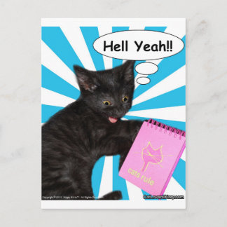 Hippy kattungehelvete Yeah!! Katter härskar Vykort