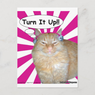 Hippy kattungevänd det upp!! vykort