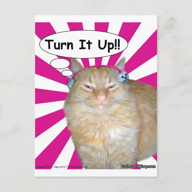Hippy kattungevänd det upp!! vykort (Framsida)
