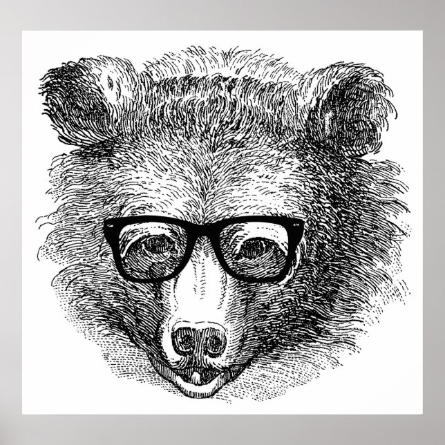 Hipster Bear Poster (Framsidan)