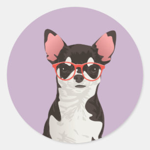 Hipster Black and White Jackar Chihuahua Sticker Runt Klistermärke