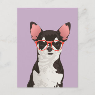 Hipster Black and White Jackar Chihuahua-vykort Vykort