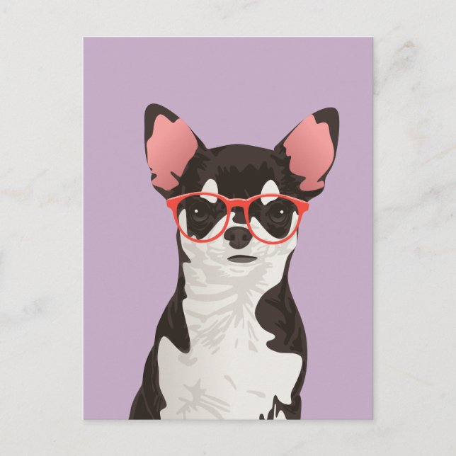 Hipster Black and White Jackar Chihuahua-vykort Vykort (Framsida)