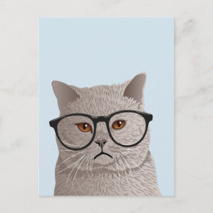 Hipster British Shorthair Cat Vykort