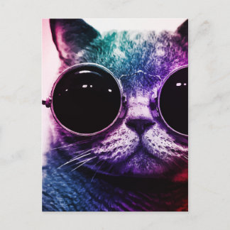 Hipster Cat Pop Art Vykort